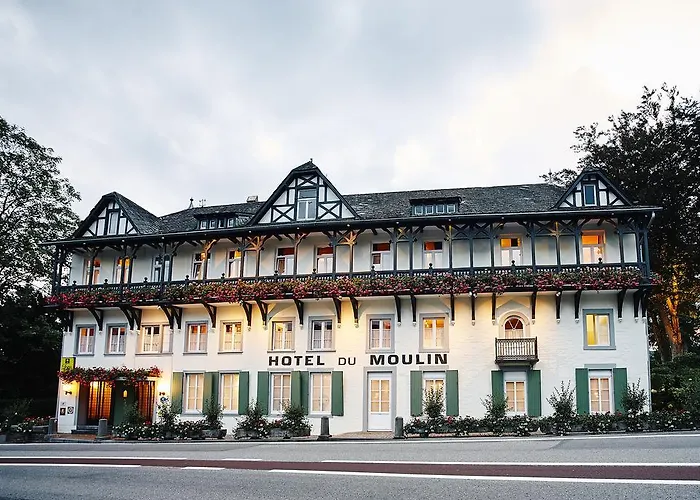 Hotel Du Moulin